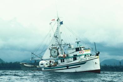 Der Fischkutter Phyllis Cormack war das erste Greenpeace-Schiff.