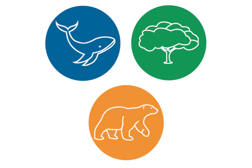 Icons der Greenpeace Patenschaften